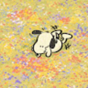 Meet your Posher, Pia grace